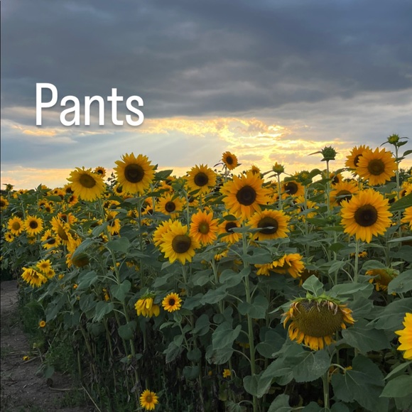 Pants - Picture 1 of 1